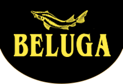 Beluga Concept